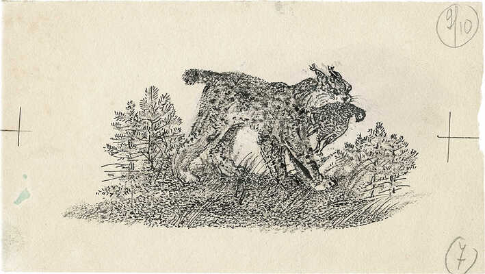 Курдов Валентин Иванович. Рысь на охоте